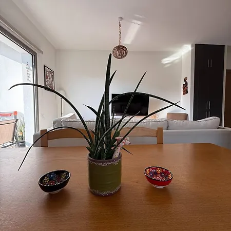 Haven * 尼科西亚