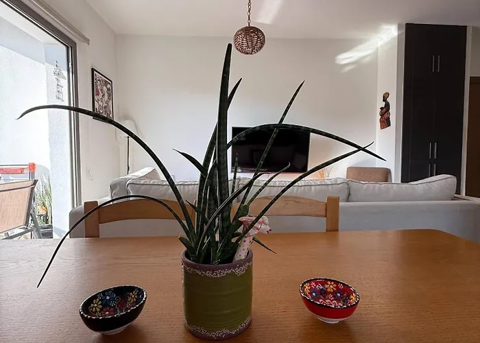 Haven * 尼科西亚