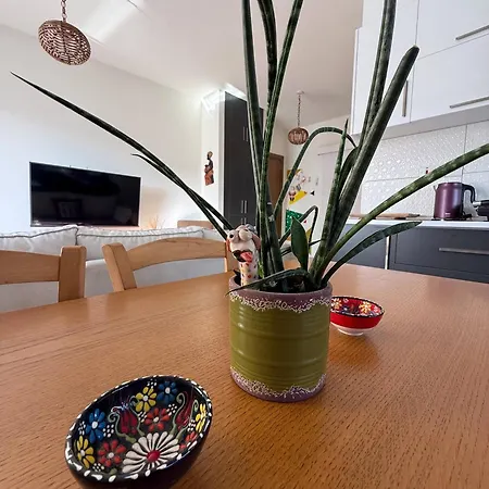 Apartamento Haven *